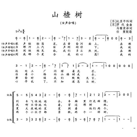 山楂树|山楂树（1953年苏联时期爱情歌曲）